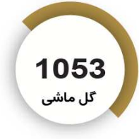 رنگ فوری گل ماشی
1053
کیلویی