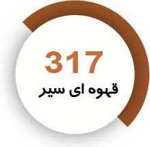 رنگ فوری گلد
قهوهای سیر
317
کیلویی