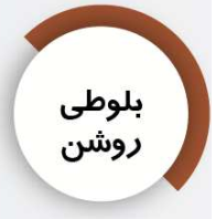 شاپان روغنی
بلوطی روشن